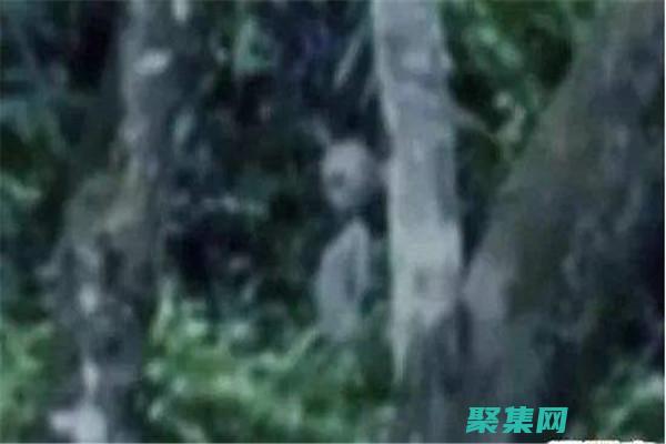 是什么