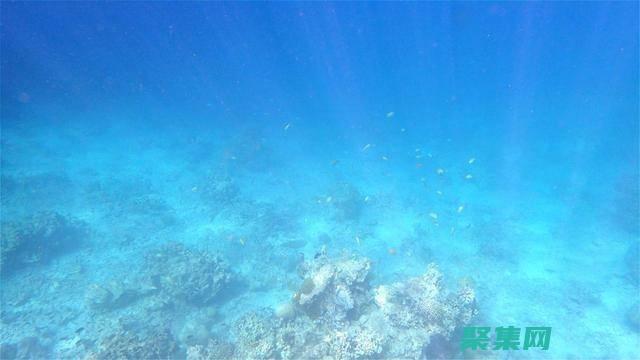 海洋深處的驚人發(fā)現(xiàn)