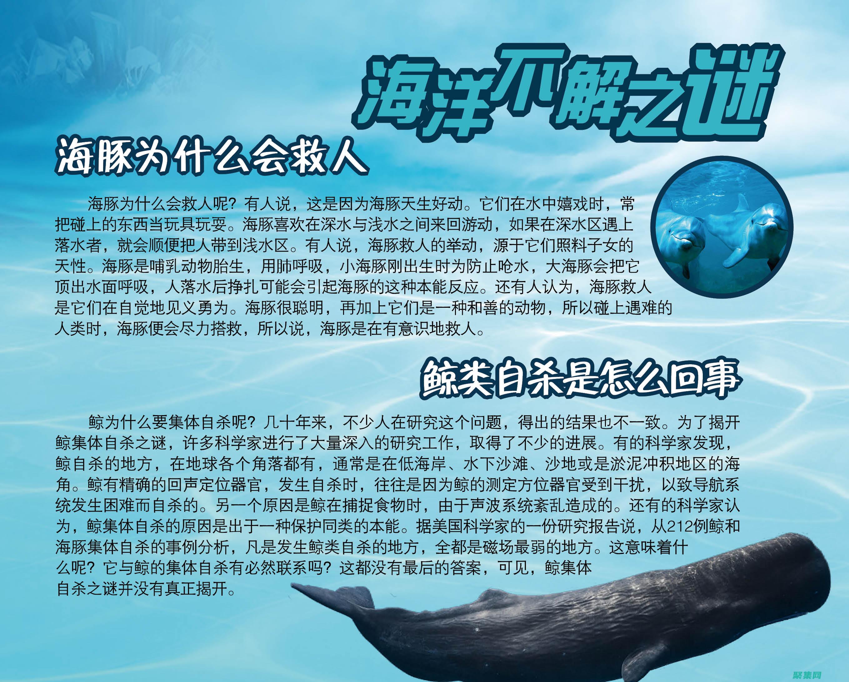海底人魚之謎