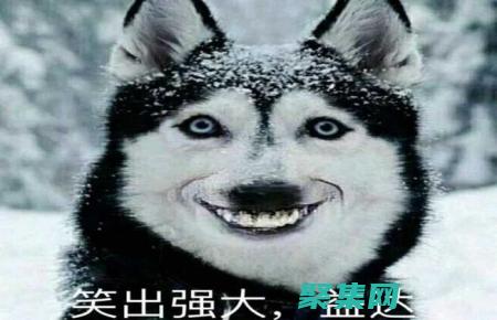 微笑的狗恐怖原圖：真實與虛構(gòu)之間的界限 (微笑的狗恐怖原圖 嚇人)