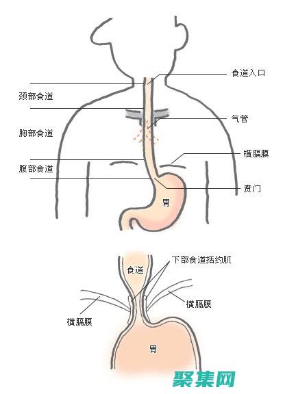 織夢(mèng)的解剖學(xué)：了解夢(mèng)境的結(jié)構(gòu)和特征 (織夢(mèng)是啥)