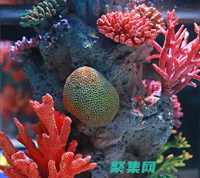 深入了解其安全性和性能機制