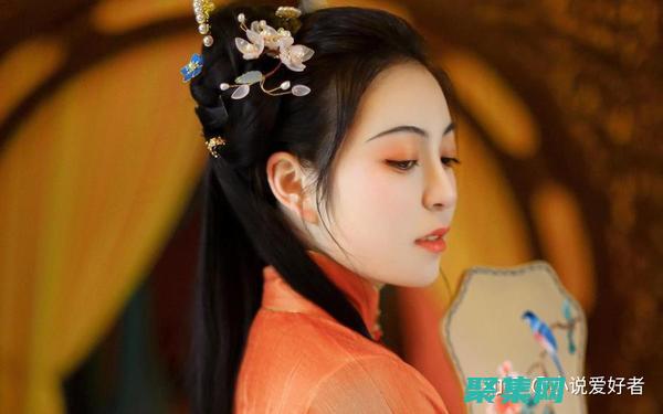 小說愛好者的天堂：織夢小說模板為您的閱讀欲望賦能 (小說愛好者的網(wǎng)名)