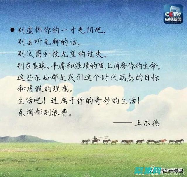 從零到英雄：數(shù)據(jù)庫編程學(xué)習(xí)計劃 (從零到英雄泰劇)