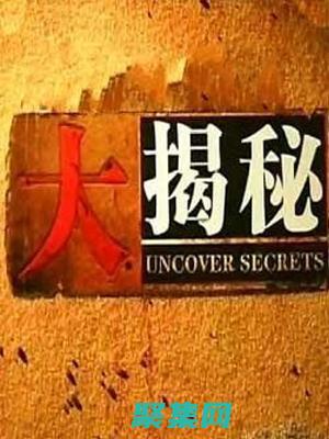 從概念到發布