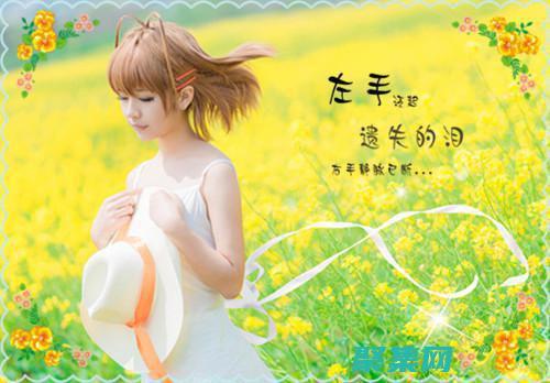 一網(wǎng)打盡！10款頂級織夢淘寶客模板等你來下載 (一網(wǎng)打盡1-16)