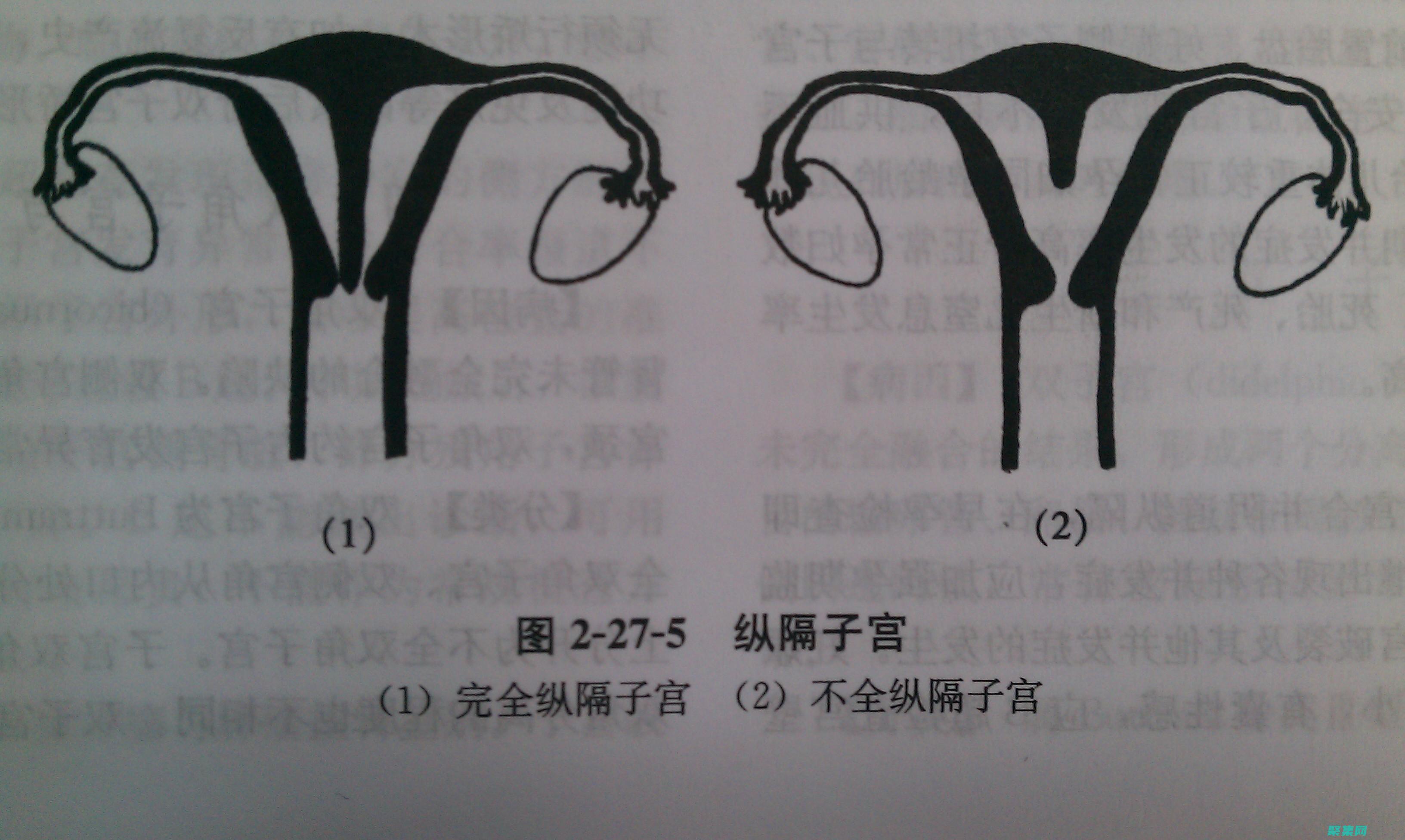 充分利用機會英語