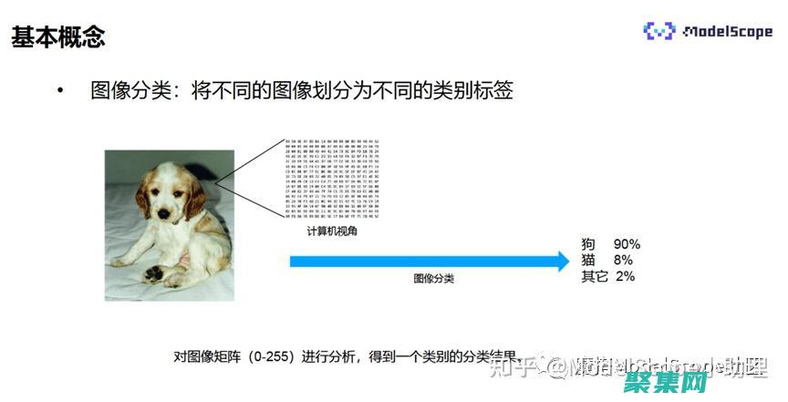 圖像分類的挑戰(zhàn)