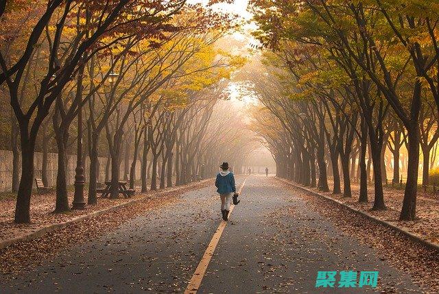 vb程序設(shè)計初學(xué)者指南