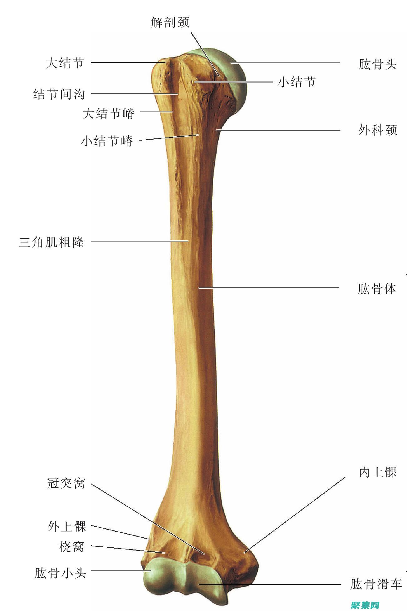 房產(chǎn)行業(yè)數(shù)字化寶庫(kù)的房產(chǎn)