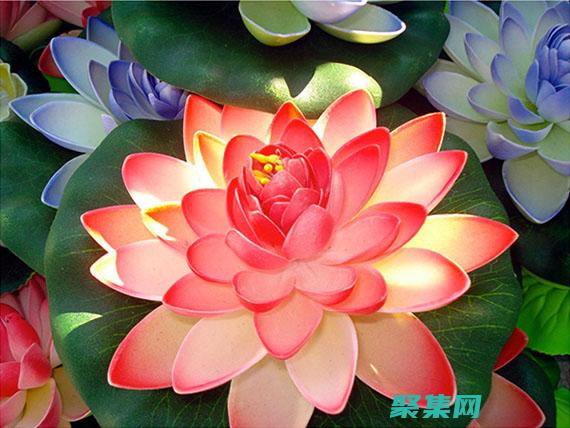 過濾選擇器