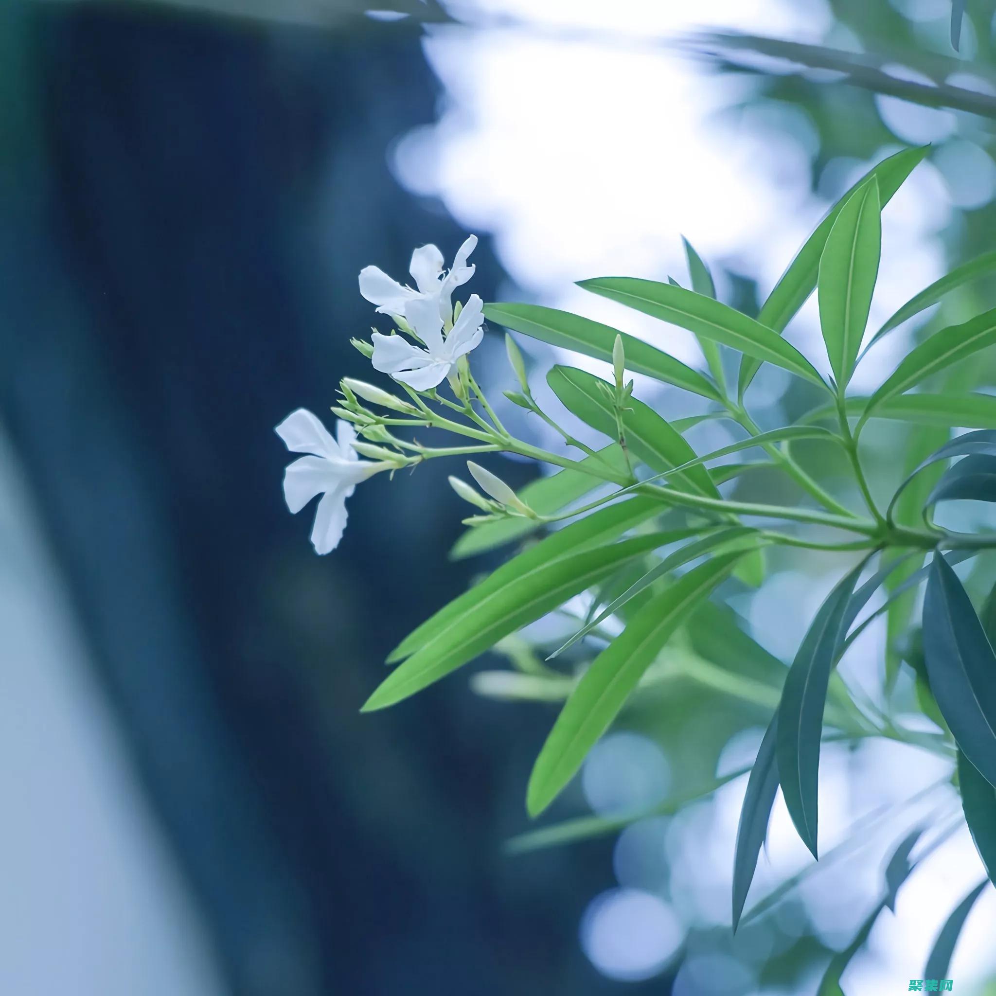 告別未錯(cuò)誤