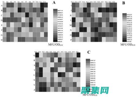 探索 fprintf 的強(qiáng)大功能：在 C 中控制輸出格式 (探索后媽的桃花源作文)