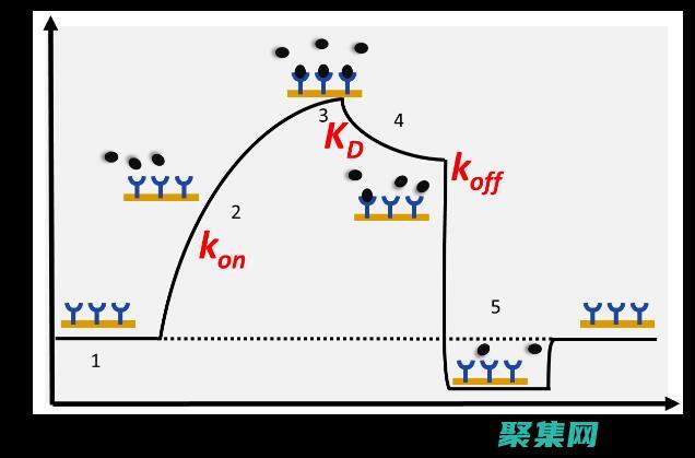 掌握