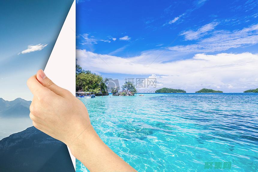 揭開公司面紗