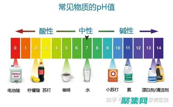 深入了解PHPinArray：加快數(shù)組處理速度的秘密 (深入了解pcr技術(shù)的原理及研究成果)