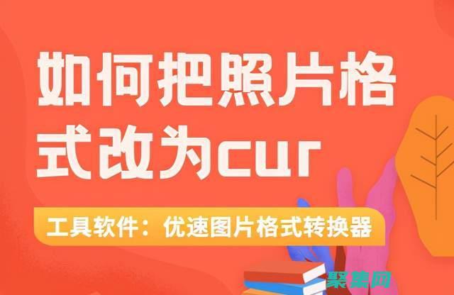 的功能