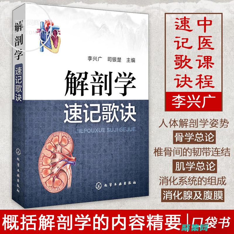 深入剖析