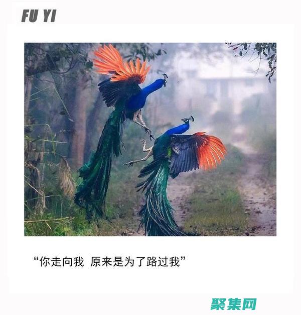 丈夫出軌并欠債60萬(wàn)
