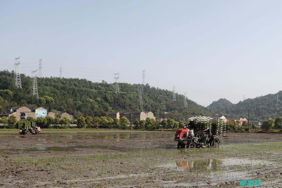 提高效率：插件可以自動化繁瑣的任務(wù)，例如垃圾郵件過濾和用戶管理，提高論壇運(yùn)維效率。(提高 效率)