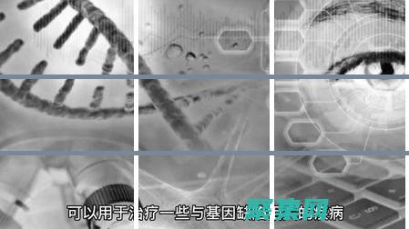 探討其對人類健康和社會的潛在影響