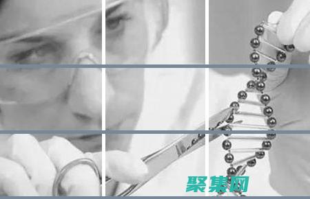 解讀的意義