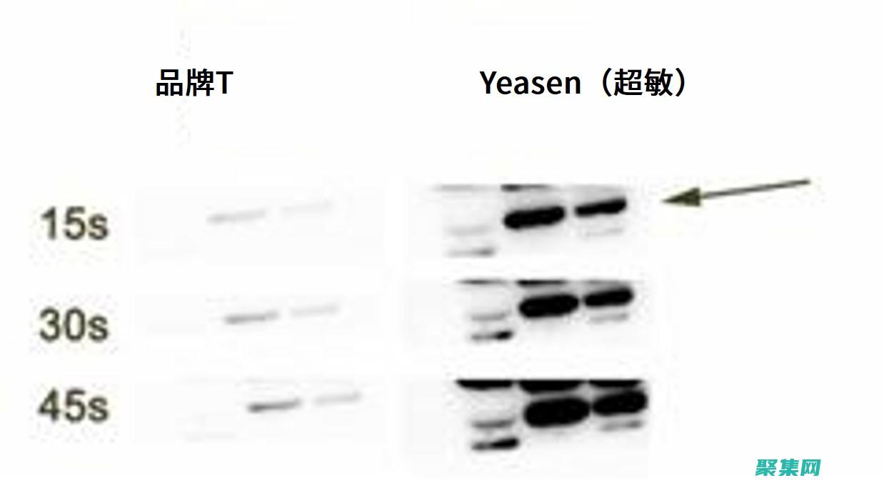 探索 Eclipse 3.4，用于構建復雜應用程序的理想 IDE (探索ecco)