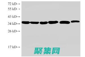 使用 Eclipse 3.4 構(gòu)建高性能、可擴(kuò)展的應(yīng)用程序 (使用eclipse開(kāi)發(fā)java程序的步驟是什么?)