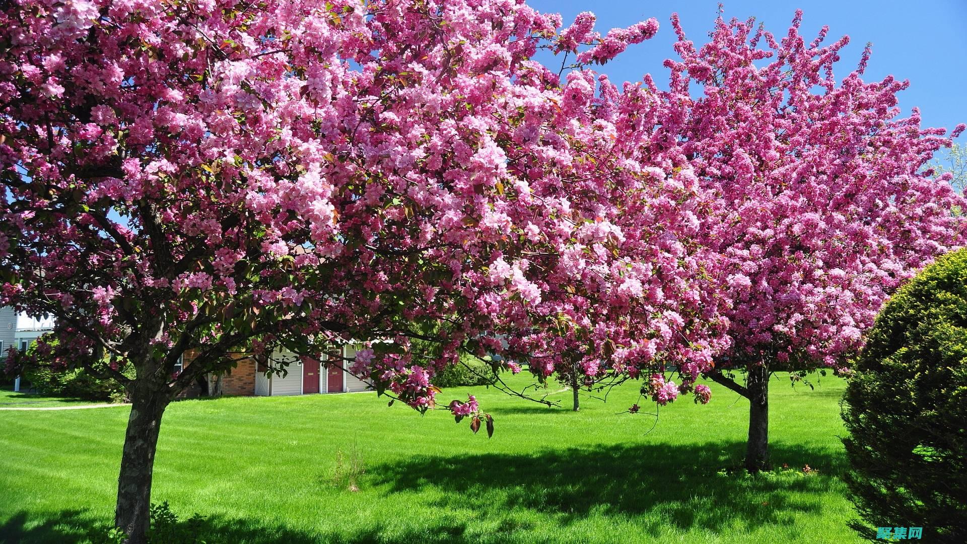 spring