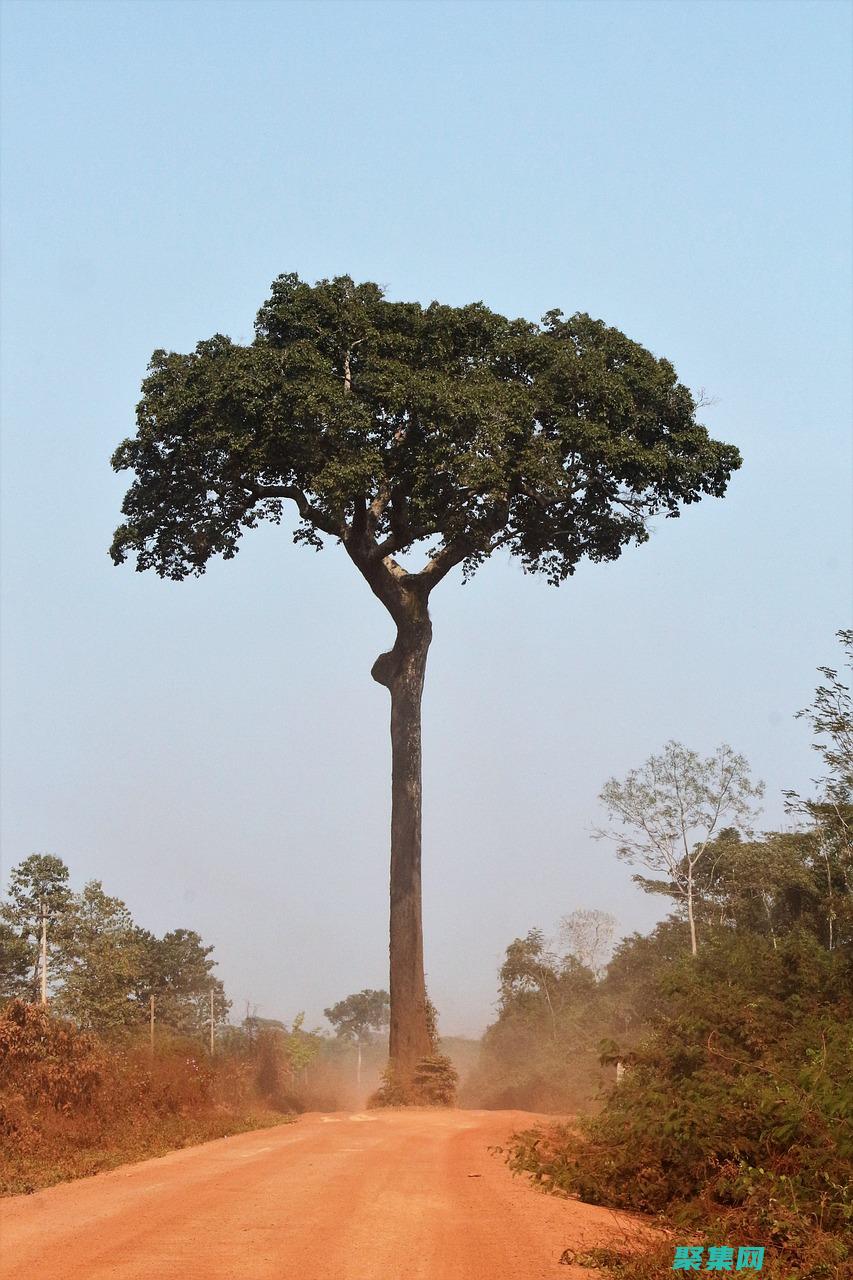 beanutils.copyproperties隱患
