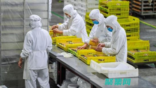 應(yīng)用程序的完整教程