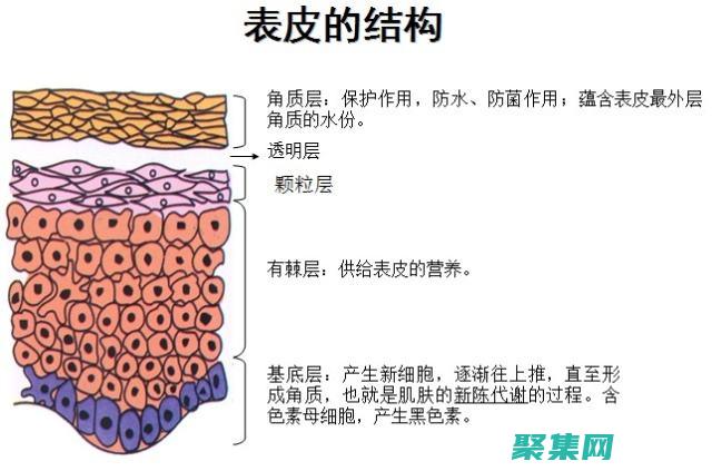 圖像處理的基礎：從 imread 到圖像操作實戰 (圖像處理的基本特征是什么)
