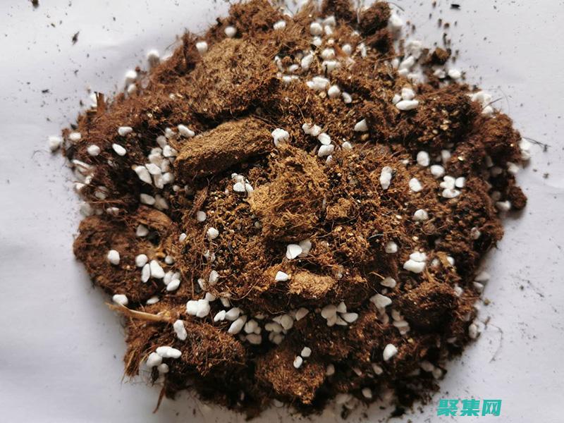 到圖像實戰(zhàn)