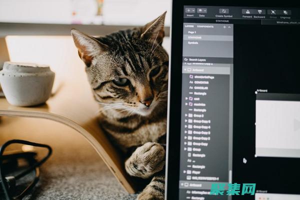 技能的人才的領(lǐng)域應(yīng)用
