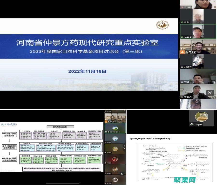 深入研究 Delphi TreeView，以創(chuàng)建復雜的數(shù)據(jù)結(jié)構的可視化 (深入研究的成語有哪些)