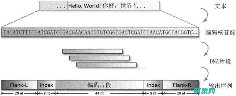 從基礎到高級
