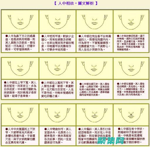面向初學(xué)者和人士的安卓應(yīng)用案例開發(fā)大師班