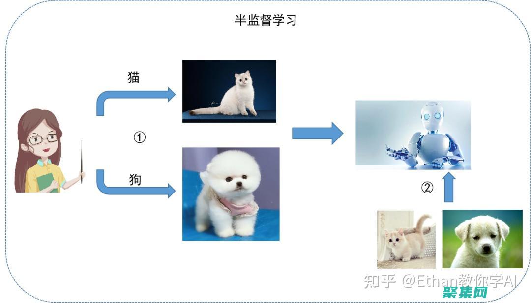 機器學(xué)習(xí)：構(gòu)建和訓(xùn)練機器學(xué)習(xí)模型，用于分類、回歸和聚類。(機構(gòu)學(xué)與機器人學(xué))