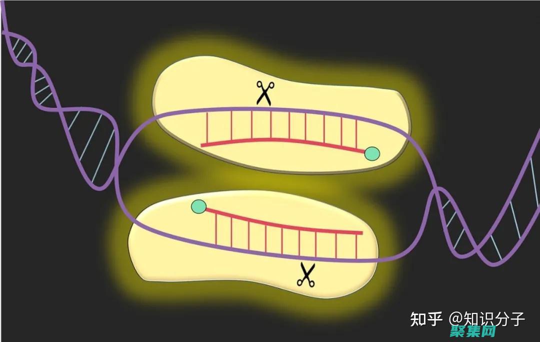 架構(gòu)