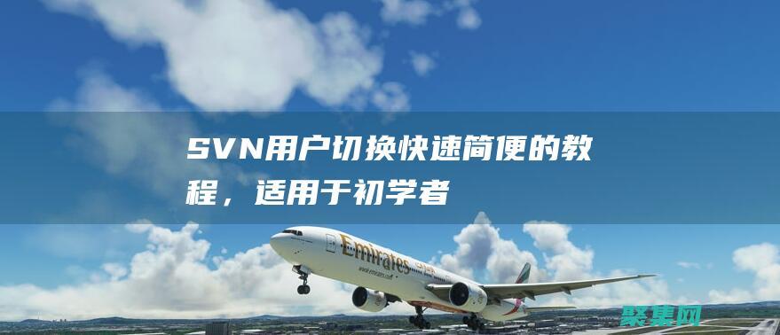 SVN 用戶切換：快速簡便的教程，適用于初學者和專家 (svn用戶切換)