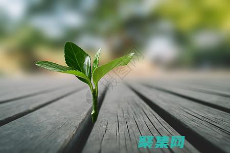 釋放數(shù)據(jù)敘事的潛力：FusionCharts 免費(fèi)版 (釋放數(shù)據(jù)的力量)