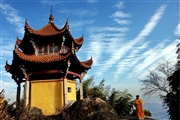 自駕車旅游聯盟網