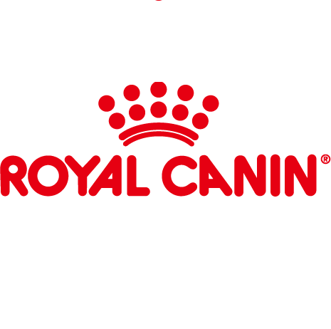 上海藍(lán)互營銷咨詢有限公司-品牌策劃,展覽展示,市場活動策劃,廣告設(shè)計制作,大型會議服務(wù)