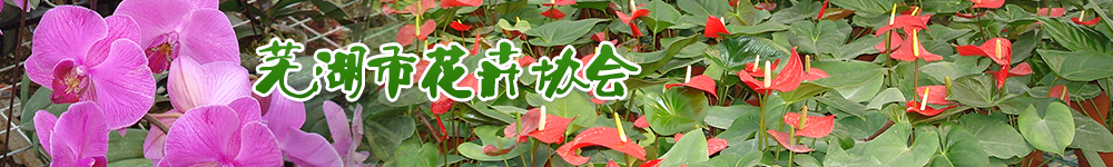 蕪湖市花卉協(xié)會