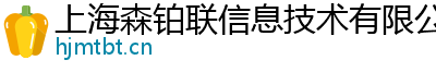 上海森鉑聯信息技術有限公司