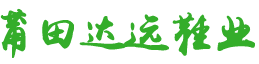 莆田市達(dá)遠(yuǎn)鞋業(yè)有限公司耐克，阿迪達(dá)斯，彪馬，紐巴倫高品質(zhì)莆田運(yùn)動(dòng)鞋