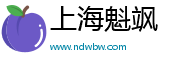 上海魁颯科技有限公司