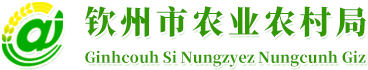 欽州市農(nóng)業(yè)農(nóng)村局 - http://nyncj.qinzhou.gov.cn