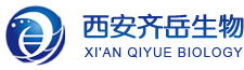 UDP糖丨MOF丨金屬有機框架丨聚集誘導發光丨熒光標記推薦西安齊岳生物