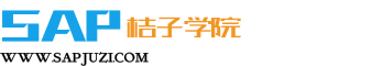 SAP培訓(xùn)_SAP培訓(xùn)課程學(xué)習(xí)及SAP培訓(xùn)視頻資料下載-SAP桔子學(xué)院